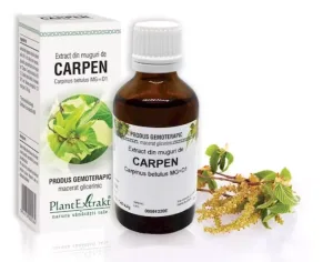 Extract de carpen hidro-glicero-alcoolic X 50ml fl.  Plantextrakt