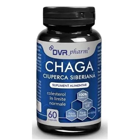 Chaga, 60 capsule, DVR Pharm — preț și oferte