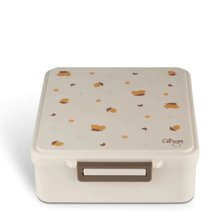Caserola pentru pranz cu 4 compartimente + 1 recipient termo - Lemon, Citron — preț și oferte