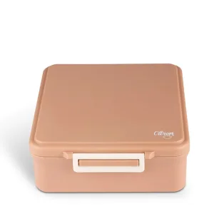 Caserola de pranz 4 compartimente + 1 recipient termo, Blush, Citron