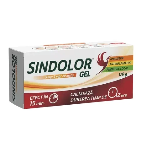 Sindolor Gel, 170g, Fiterman FITERMAN PHARMA — preț și oferte