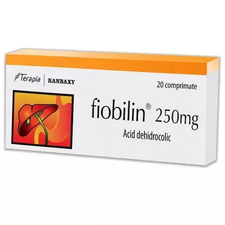 Fiobilin 250mg, 20 comprimate, Terapia TERAPIA SA CLUJ — preț și oferte