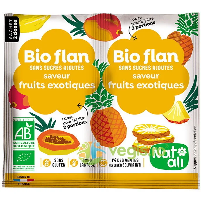 Budinca de Fructe Exotice fara Zahar Ecologica/Bio 2x4g NAT-ALI — preț și oferte
