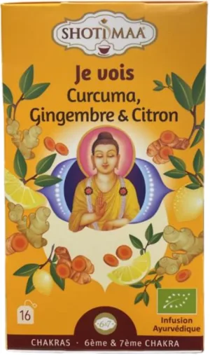 Ceai cu turmeric, ghimbir si lamaie Chakras Vision Bio, 16 plicuri, Shoti Maa