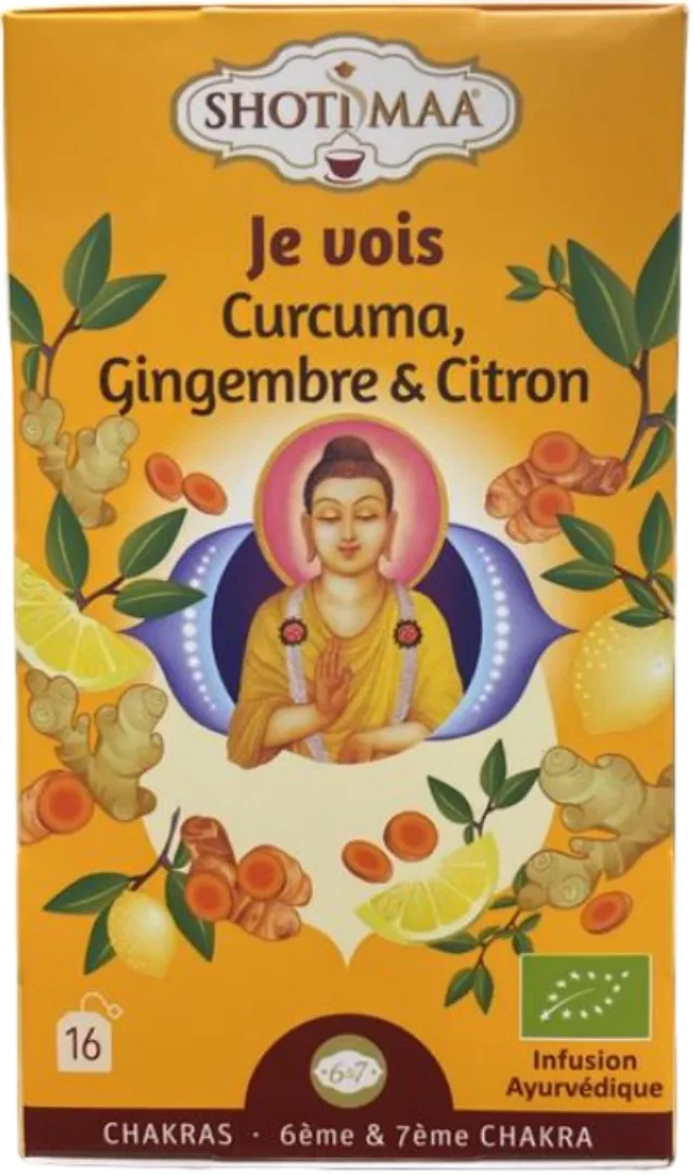 Ceai cu turmeric, ghimbir si lamaie Chakras Vision Bio, 16 plicuri, Shoti Maa — preț și oferte