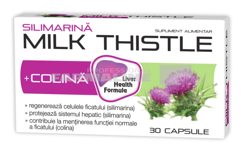 Silimarina Milk Thistle + Colina 1000 mg 30 capsule ZDROVIT — preț și oferte