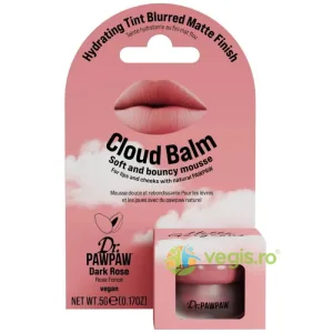 Balsam Tip Mousse pentru Buze si Obraji Finish Mat Estompat Cloud Balm Dark Rose 5g