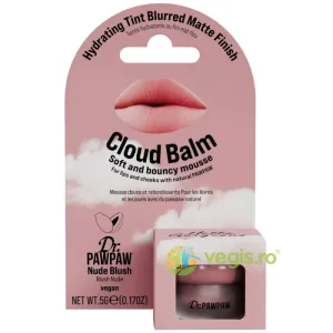 Balsam Tip Mousse pentru Buze si Obraji Finish Mat Estompat Cloud Balm Nude Blush 5g