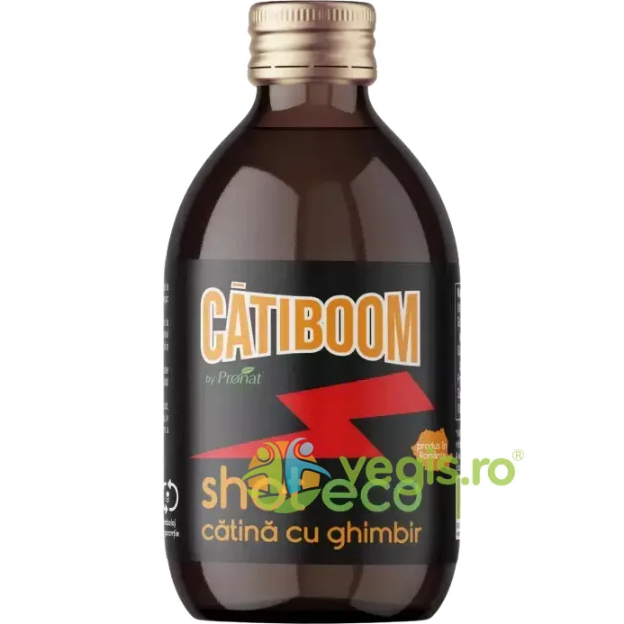 Shot de Catina cu Ghimbir Ecologic/Bio 100ml PRONAT — preț și oferte