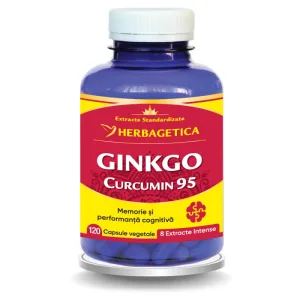 Ginkgo Curcumin95, 120 capsule