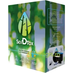 Seva de Mesteacan Lactofermentata Ecologica/Bio 3L