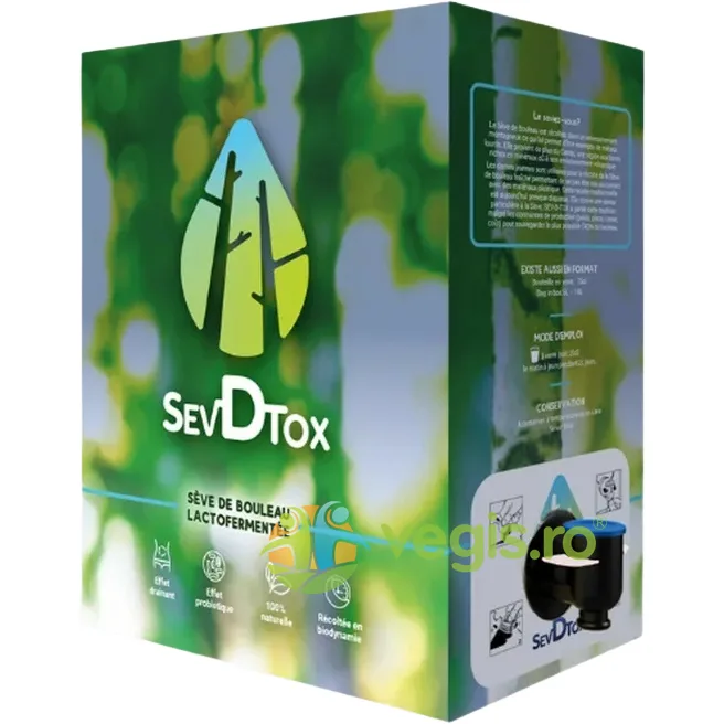 Seva de Mesteacan Lactofermentata Ecologica/Bio 3L SEVDTOX — preț și oferte