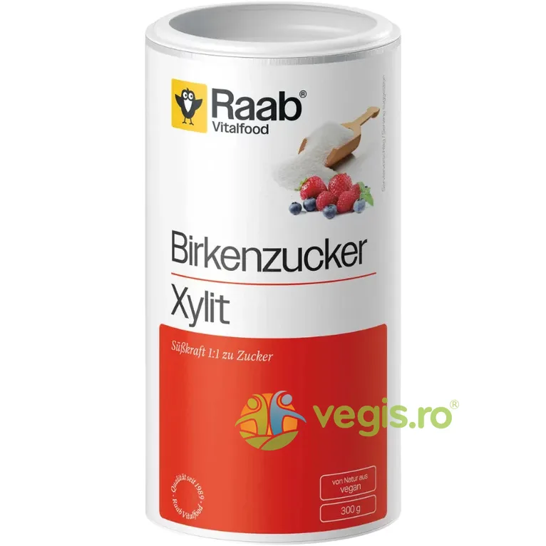 Zahar din Mesteacan 300g Raab Vitalfood — preț și oferte