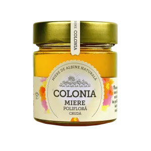 Miere poliflora cruda, 270g, Colonia