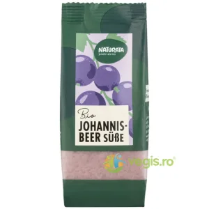 Indulcitor Pudra din Orez si Coacaze Negre Ecologic/Bio 60g