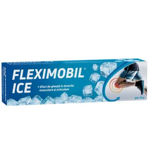 Fleximobil ICE gel x100g