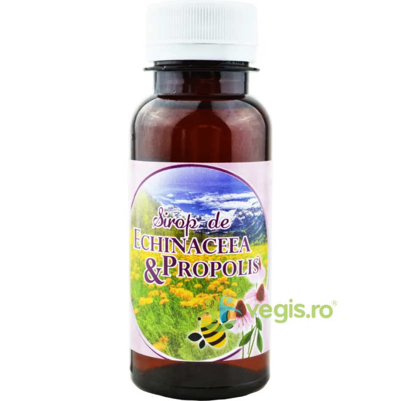 Sirop de Echinaceea si Propolis 100ml ETNA 2001 — preț și oferte