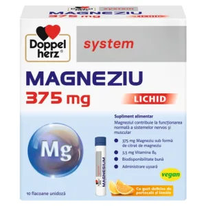 Doppelherz Magnesium  375 liquid  30 fl. Queisser Pharma