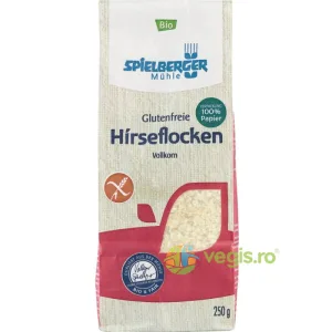 Fulgi de Mei Integrali fara Gluten Ecologici/Bio 250g