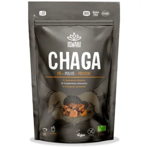 Chaga sub Forma de Pulbere Ecologica/Bio 100g