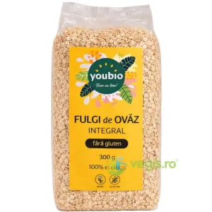 Fulgi de Ovaz Integral Ecologici/Bio 300g