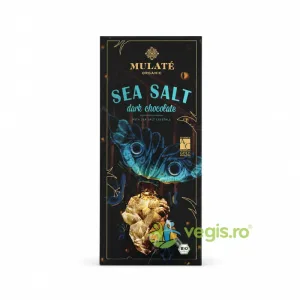 Ciocolata Neagra cu Sare de Mare Ecologica/Bio 80g