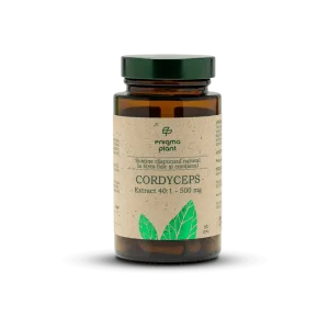 Cordyceps extract 500 mg, sustine raspunsul natural la stres fizic și emoțional, 60 capsule
