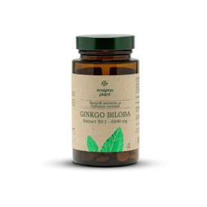 Ginkgo Biloba extract 6000mg, sprijină memoria și claritatea mentală, 60 tab