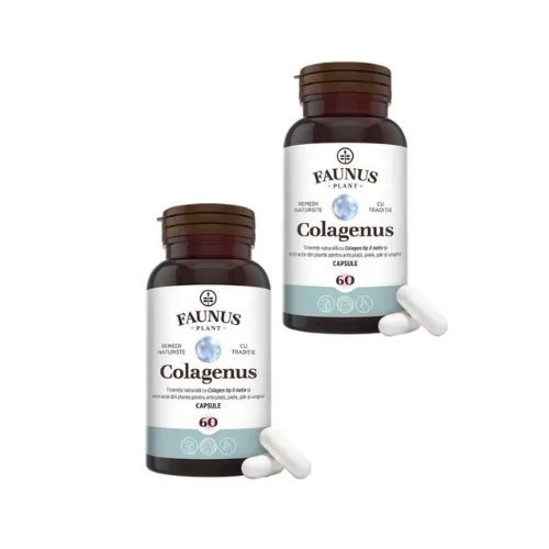 Colagenus Capsule Pachet 2 x 60 cps – Colagen Tip II, Acid Hialuronic si Plante pentru Articulatii Sanatoase, Faunus FAUNUS PLANT — preț și oferte