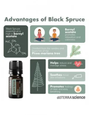 Ulei esential, Black Spruce, doTERRA, 5 ml