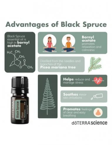 Ulei esential, Black Spruce, doTERRA, 5 ml — preț și oferte
