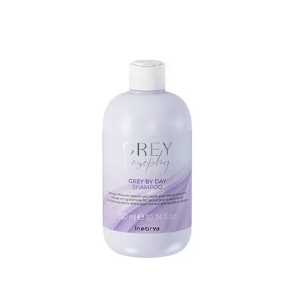 Șampon Inebrya Greylosophy Grey By Day pentru păr cenușiu și argintiu, 300ml — preț și oferte