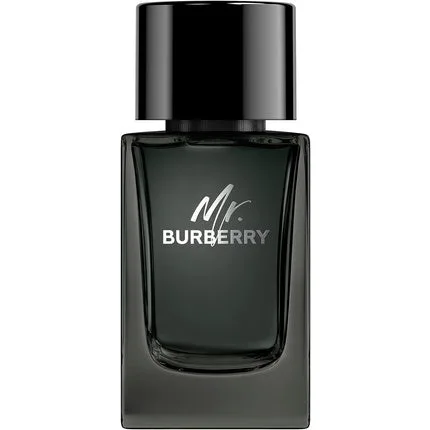 Parfum, Burberry, Mr Burberry, 100ml — preț și oferte