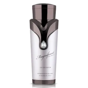 Parfum Eau de Parfum, Armaf Magnificent, Barbati, 100ml