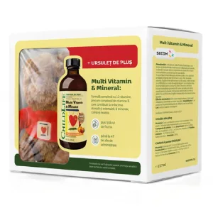 Pachet Multivitamine si minerale pentru copii Childlife Essentials, 237 ml + ursulet de plus, Secom