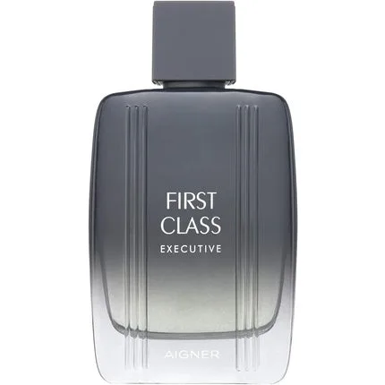 Apa de toaletă, Aigner, First Class Exec, 50ml Etienne Aigner — preț și oferte