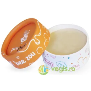 Balsam de Buze Bio cu Miere, Ceara de Albine si Unt de Shea 6g