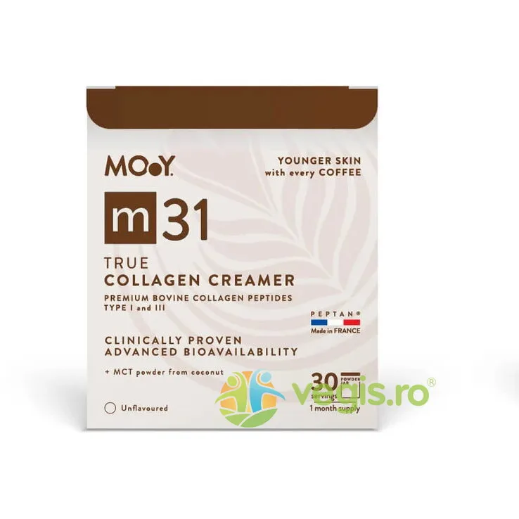 Colagen Hidrolizat Bovin Premium (True Collagen Creamer) m31 fara Aroma 210g Molecules of Youth — preț și oferte