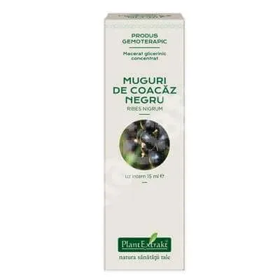 Muguri de Coacaz Negru, 15 ml, Plant Extrakt — preț și oferte