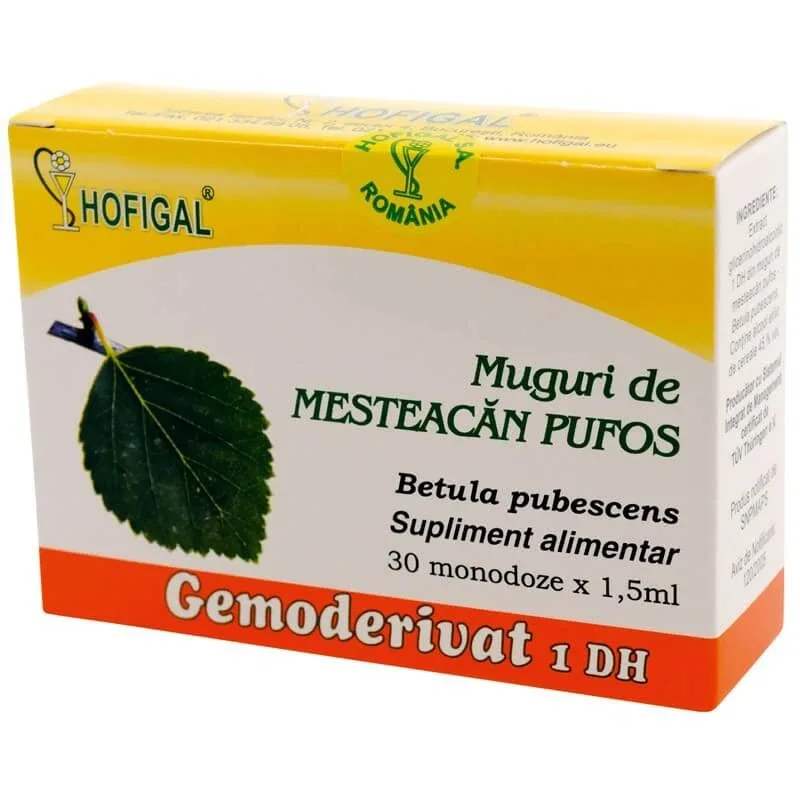 Muguri de Mesteacăn pufos Gemoderivat, 30 doze, Hofigal — preț și oferte