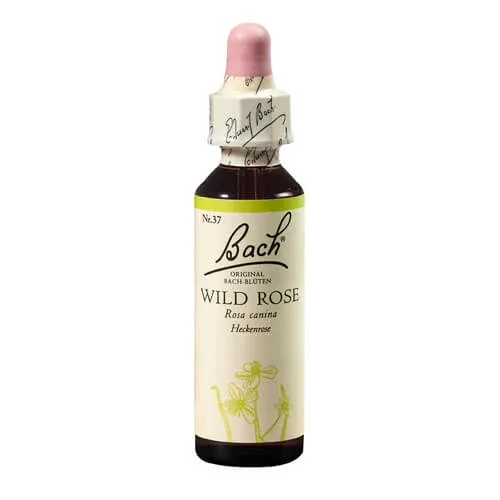Remediu floral picaturi maces Wild Rose Original Bach, 20 ml, Rescue Remedy — preț și oferte