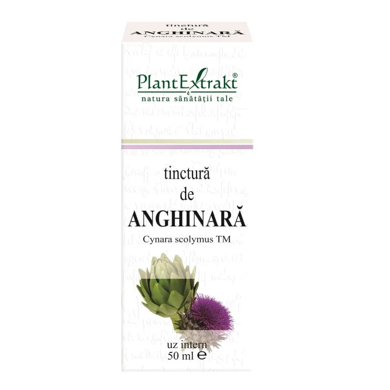 Tinctură de Anghinară, 50 ml, Plant Extrakt — preț și oferte