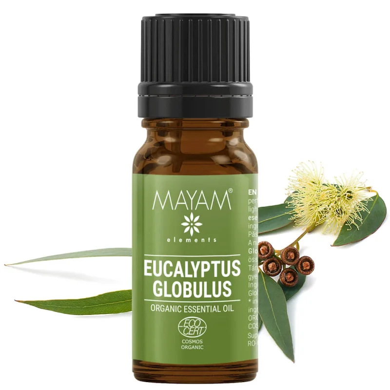 Ulei esential Eucalipt (M - 1030), 10 ml, Mayam — preț și oferte