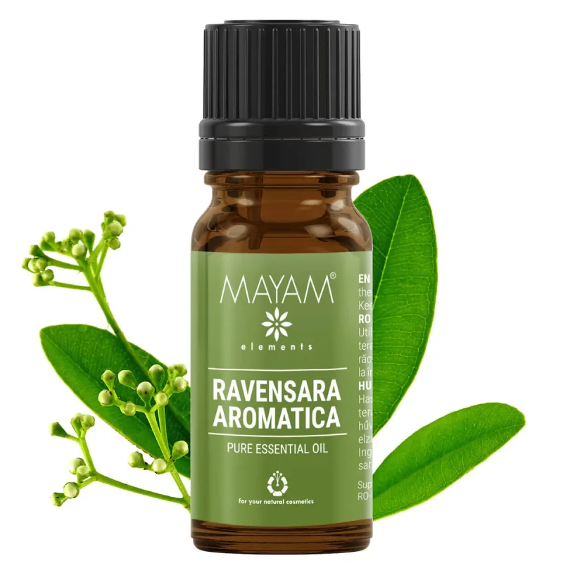 Ulei esential Ravensara (M - 1163), 10 ml, Mayam — preț și oferte
