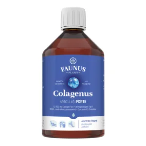 Colagen hidrolizat Colagenus Articulatii Forte, 500 ml, Faunus Plant