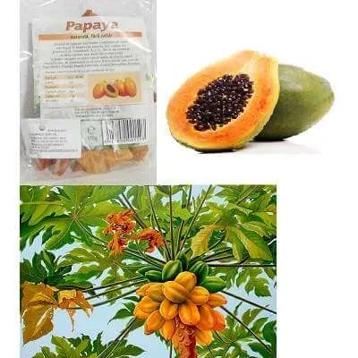 Papaya Bio bucati, 150 g, Managis — preț și oferte