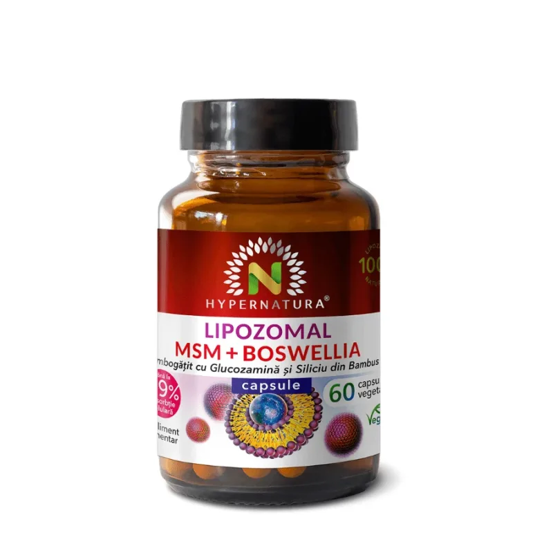 Lipozomal MSM + Boswellia + Glucozamina + Siliciu Organic, 60 capsule, Hypernatura — preț și oferte