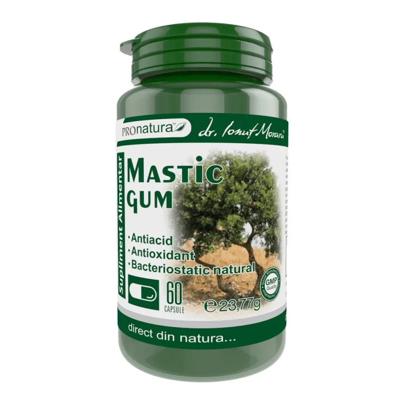 Mastic Gum, 60 capsule, Pro Natura — preț și oferte