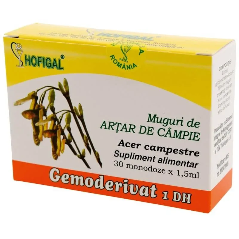 Muguri de Arțar de Câmpie Gemoderivat, 30 doze, Hofigal — preț și oferte