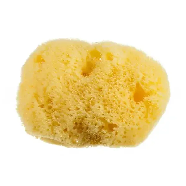 Burete natural pentru curatarea tenului, Sabio — preț și oferte